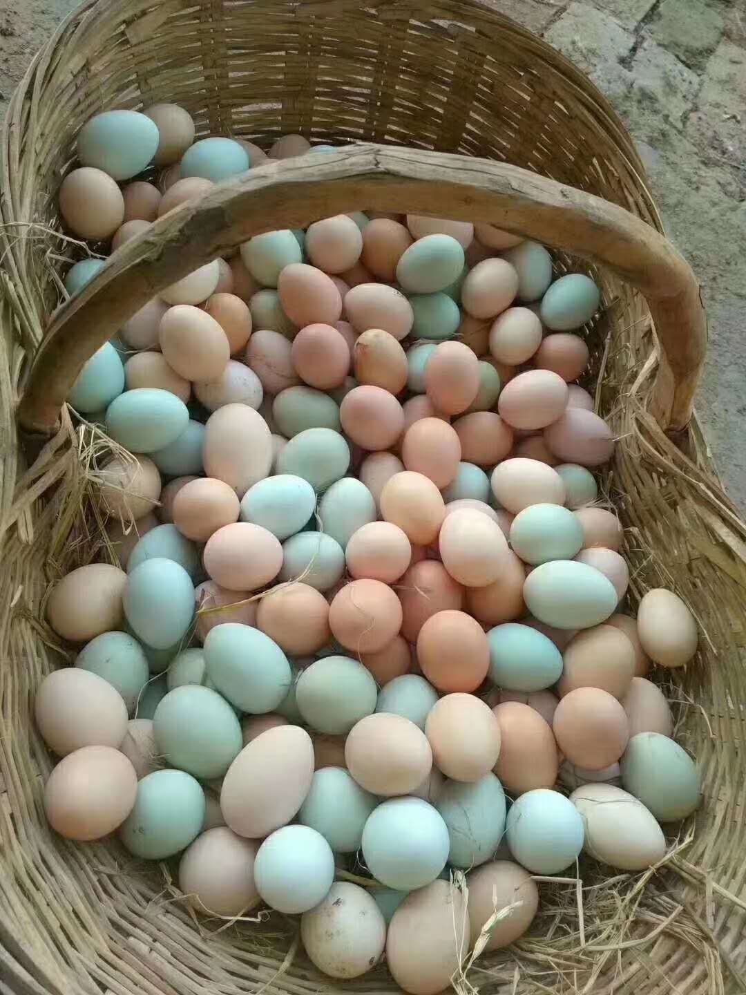 林下散养鸡蛋